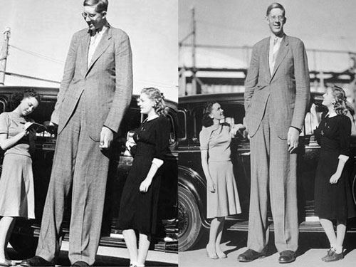 So sánh chiều cao Robert Wadlow với người bình thường