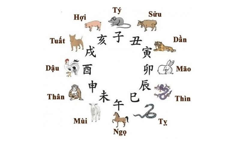Quan niệm về 12 con giáp và tính cách con người 6 Hình ảnh 12 con giáp tổng quan