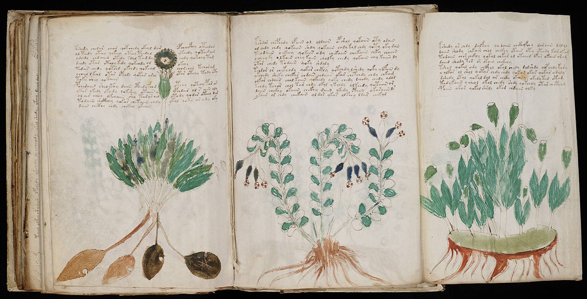 Bản thảo Voynich