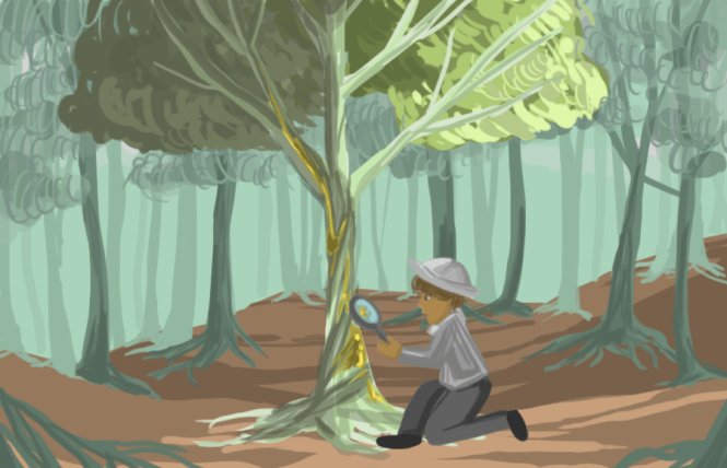Dự án citizen science