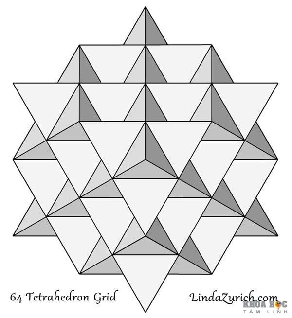 Fractal trong tự nhi&ecirc;n