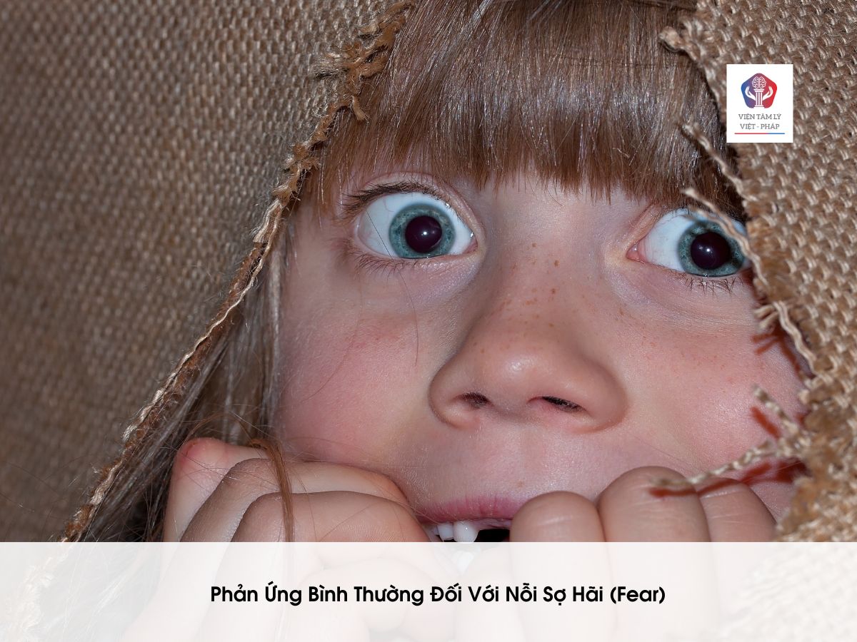 &Aacute;m ảnh sợ vật thể như nhện hay rắn