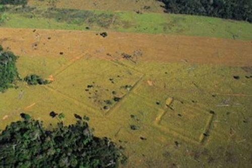 Ở Bolivia có một ngày gọi là "Ngày của Sọ người" 6 Lễ hội Ngày của Sọ người ở Bolivia