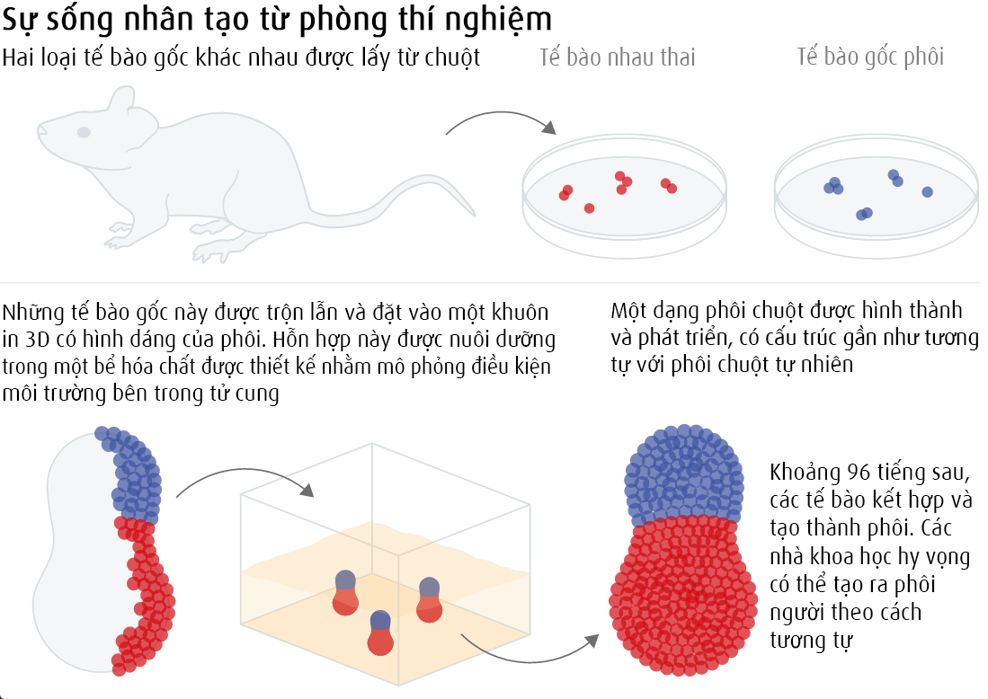 Vi sinh vật trong phòng thí nghiệm