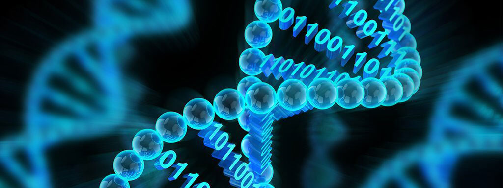 Bộ nhớ DNA Bộ nhớ DNA