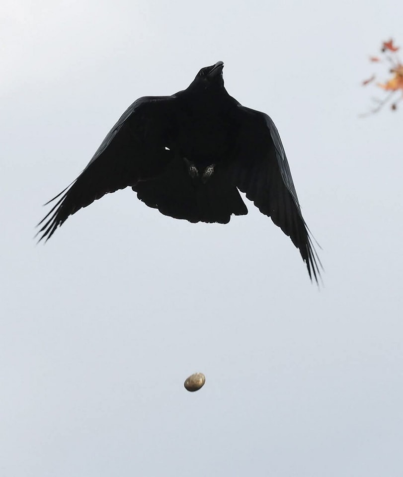 480285401 1037306621560825 4650686611490512748 n