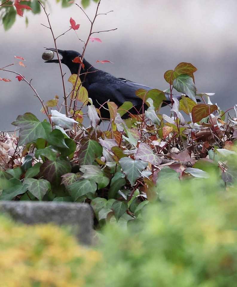 480294176 1037306578227496 2439496599036952841 n