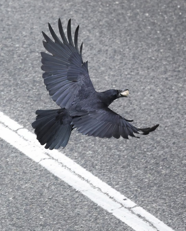 480360703 1037306688227485 1974573234548641470 n