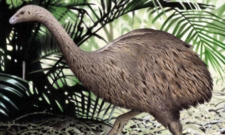 Tardigrade hồi sinh