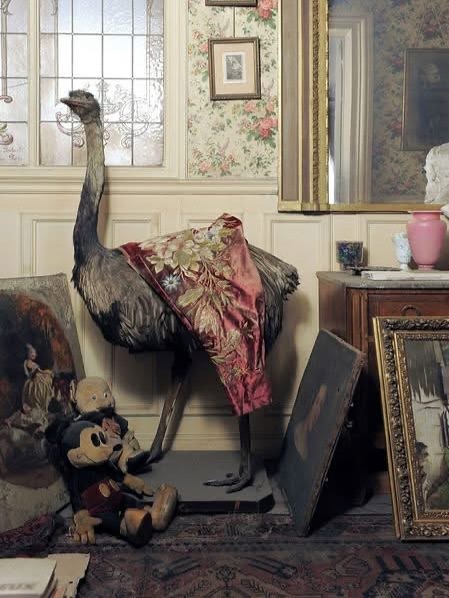 537819487 1182081010416718 339528875660965227 n