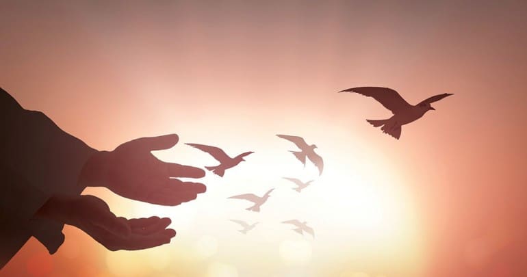 Sức mạnh của sự tha thứ