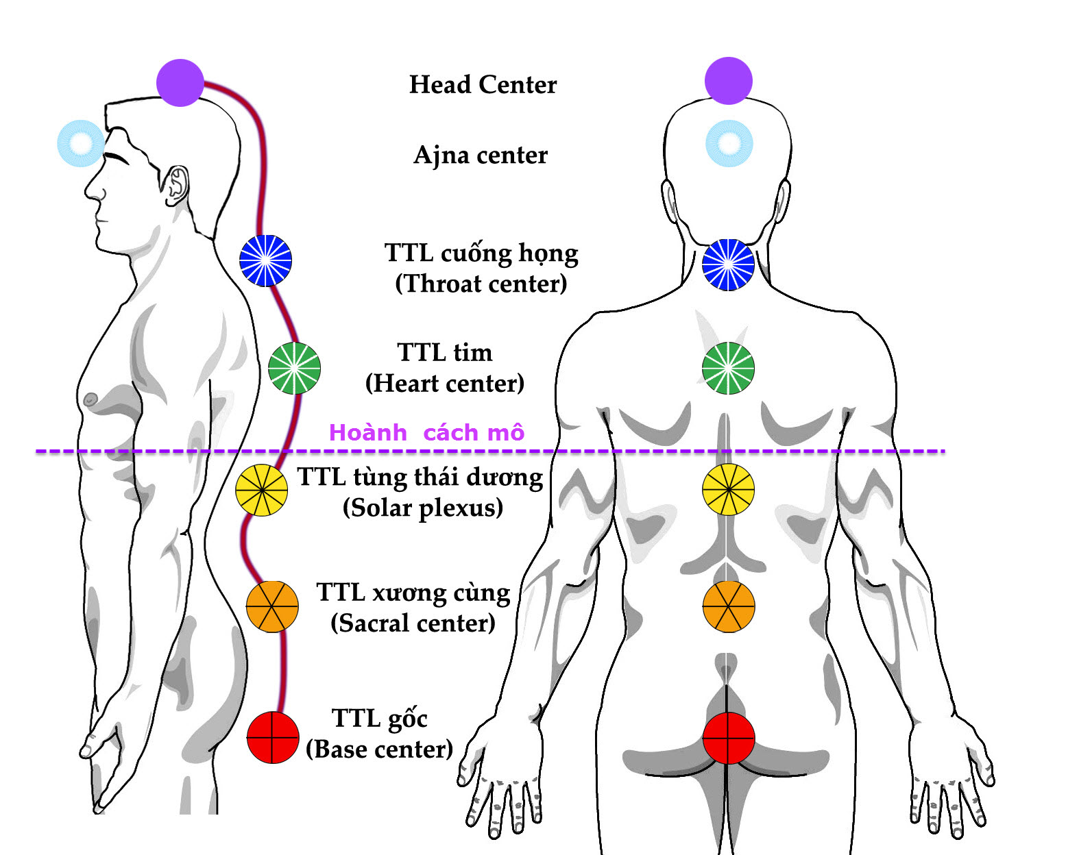 Tâm trắc học (Psychometry): Chạm vào đồ vật và "đọc" được quá khứ 7 Khám phá năng lượng đồ vật