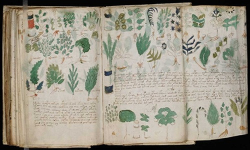 Nguồn gốc Bản thảo Voynich