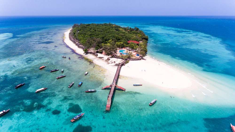 Zanzibar – Bãi biển & Văn hóa Swahili 7 Prison Island