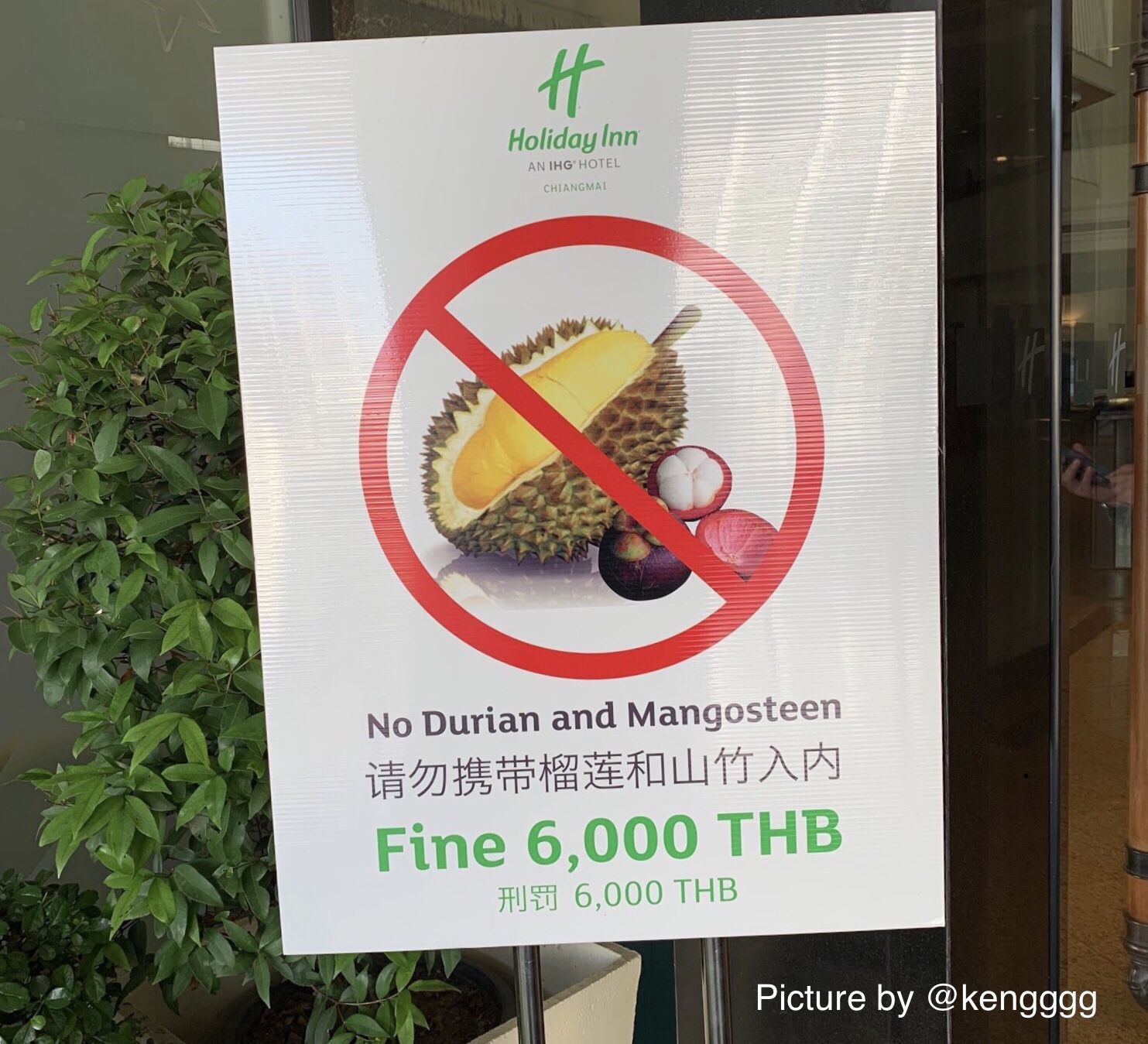 Biển báo cấm sầu riêng tại Singapore