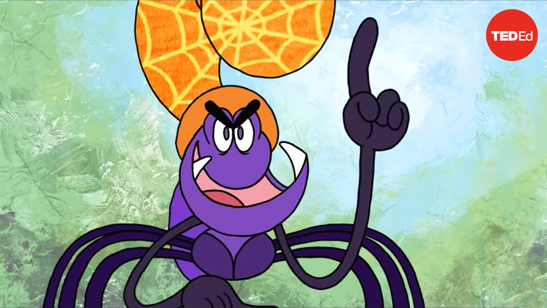 Anansi thần nhện láu cá