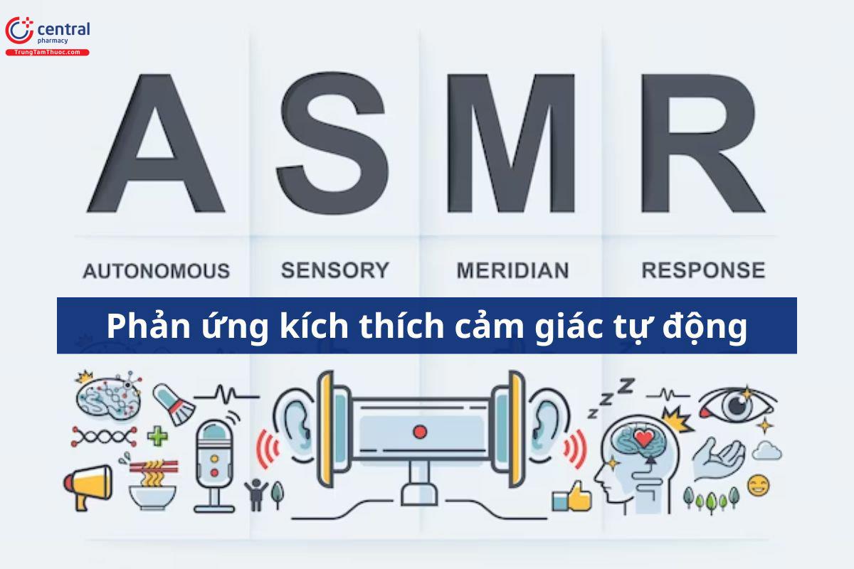 Cơ sở thần kinh của ASMR