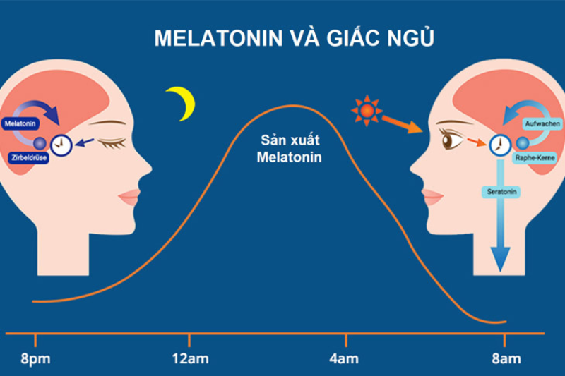 Ánh sáng xanh và melatonin