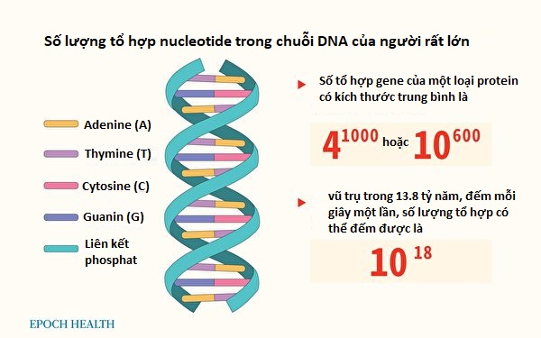 H&igrave;nh minh họa &aacute;nh s&aacute;ng cuối đường hầm trong NDE