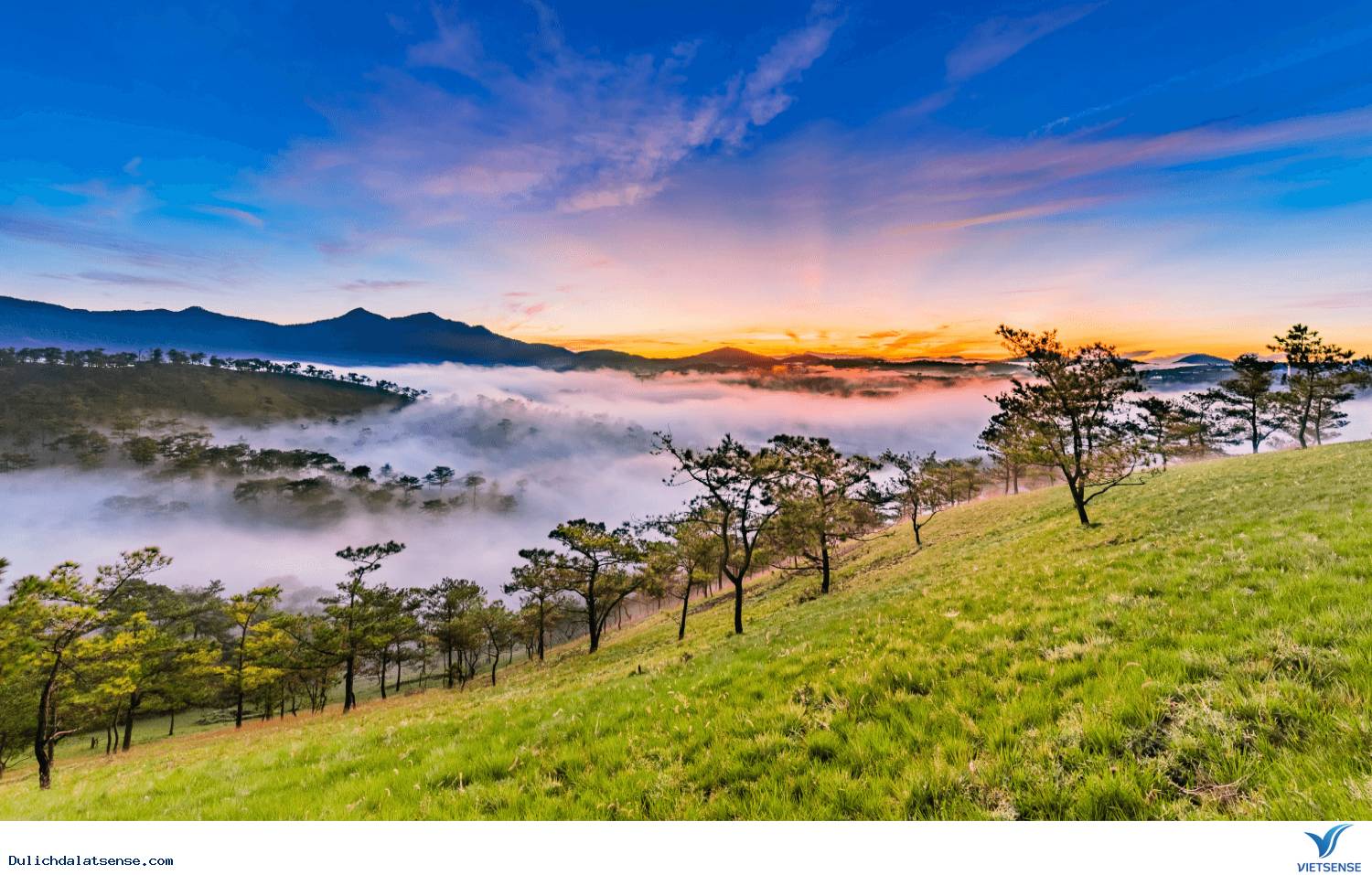 Đà Lạt mộng mơ