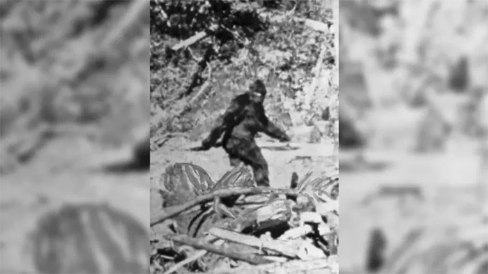Orang Pendek: Người vượn bí ẩn của đảo Sumatra 7 Bigfoot Indonesia