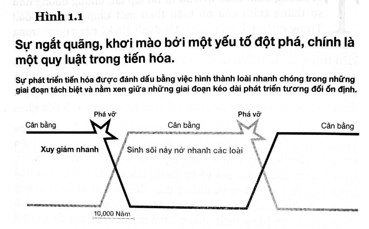 Minh họa c&acirc;n bằng gi&aacute;n đoạn trong sinh học