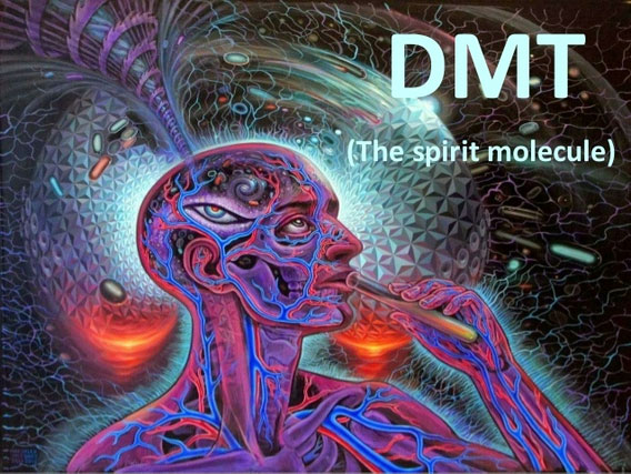 DMT và trải nghiệm cận tử NDE