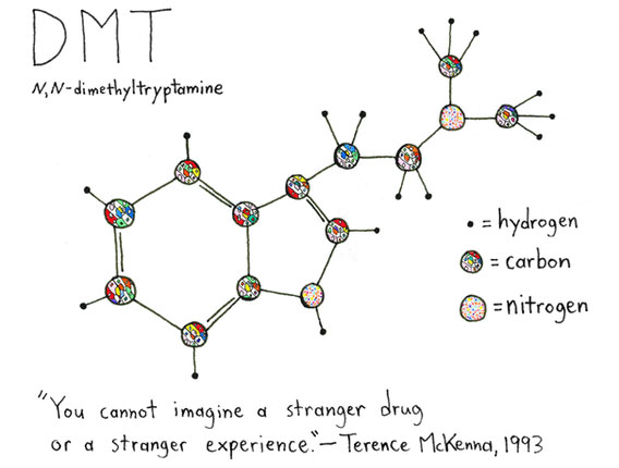 DMT phân tử tâm linh