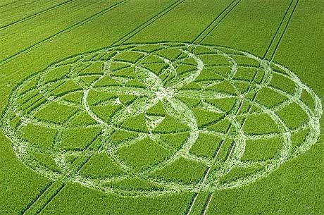 Nghiên cứu khoa học về các vòng tròn trên cánh đồng (crop circles) 6 crop circles