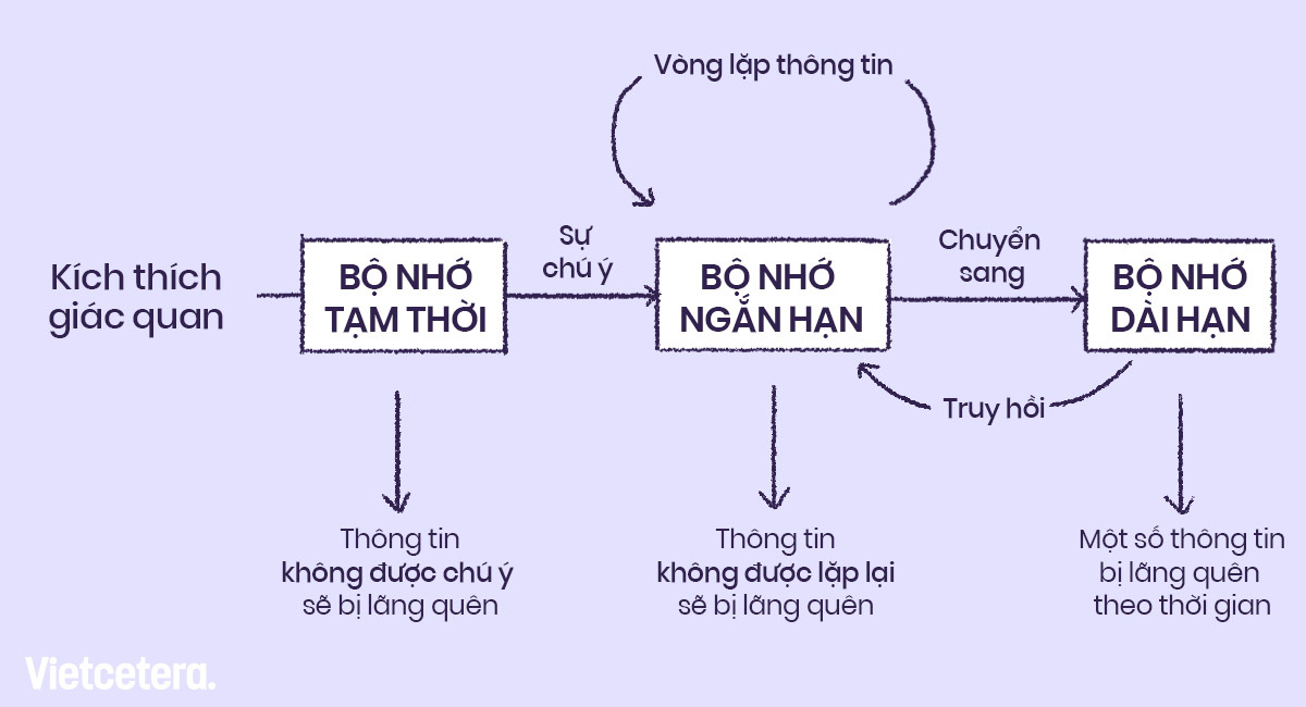 Biểu đồ tần suất Déjà vu