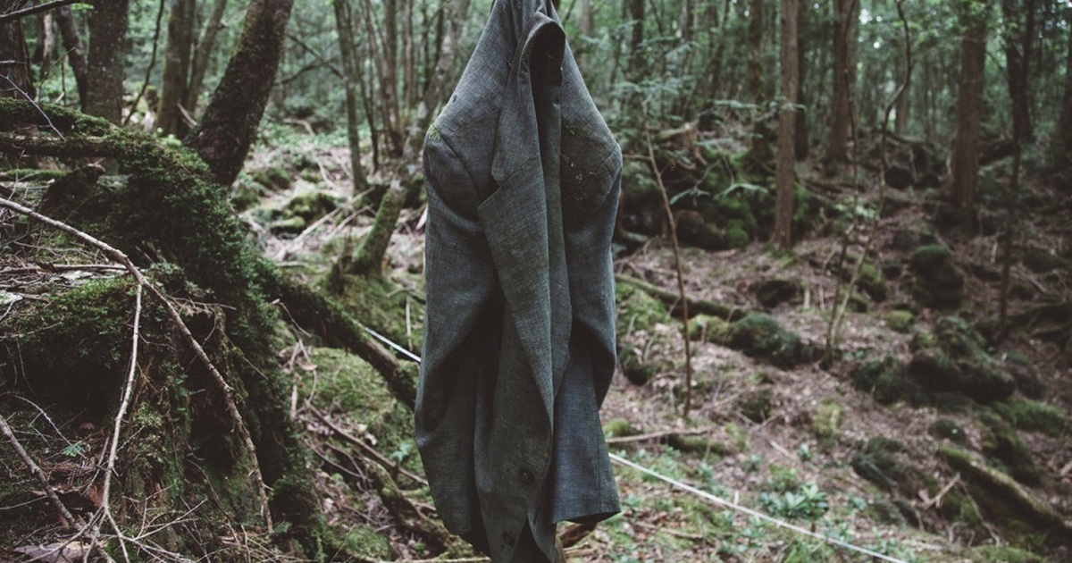Rừng Aokigahara (Nhật Bản): Sự thật về “Khu rừng tự sát” 6 Rừng Aokigahara Nhật Bản