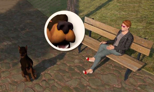 Chó nghiệp vụ cứu hộ