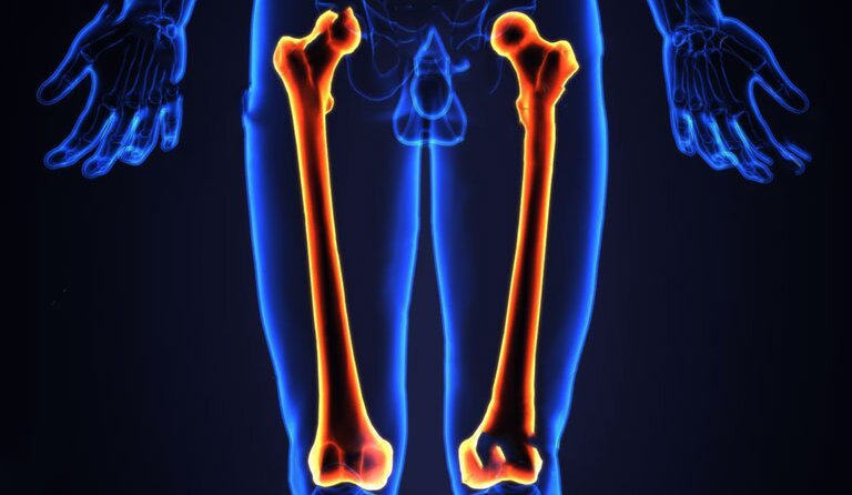 Xương đùi cứng gấp nhiều lần thép: Sự thật khoa học ít ai biết 7 Xương đùi so với thép