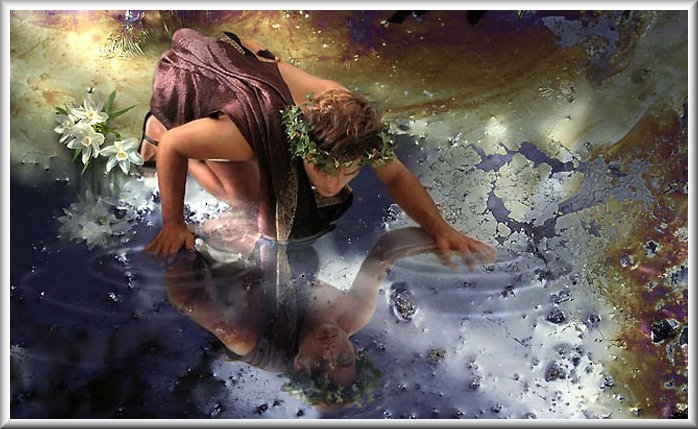 Narcissus b&ecirc;n mặt hồ