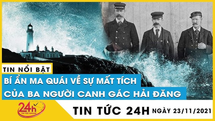 Chim cánh cụt cầu hôn bằng… đá! 7 Chim cánh cụt Gentoo mang đá đến tổ