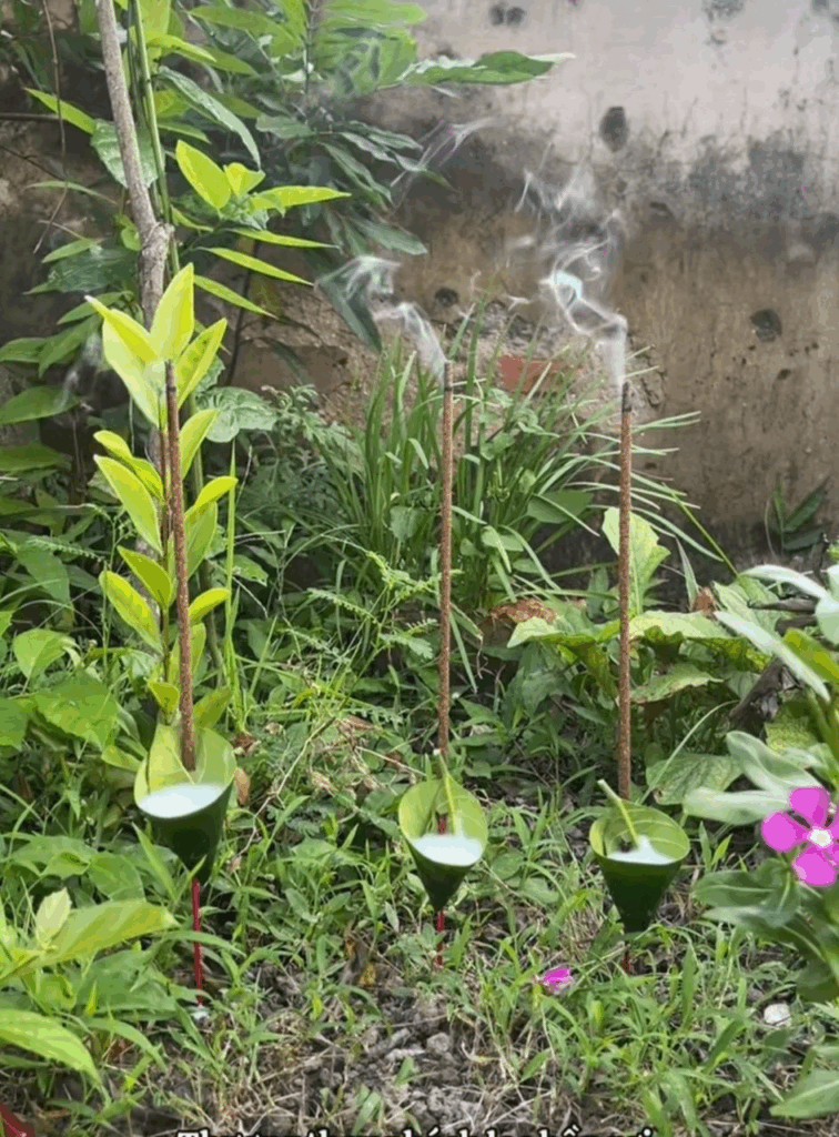 Cháo Lá Đa: Nét Tín Ngưỡng Cúng Cô Hồn Độc Đáo Của Miền Bắc 3 image 35