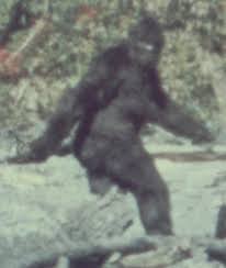 Phát hiện bằng chứng về sự tồn tại của quái vật Bigfoot?