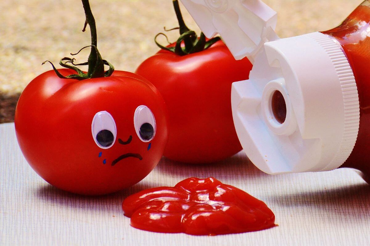 Ketchup y học