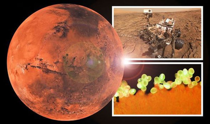 Life on Mars Organic Molecule
