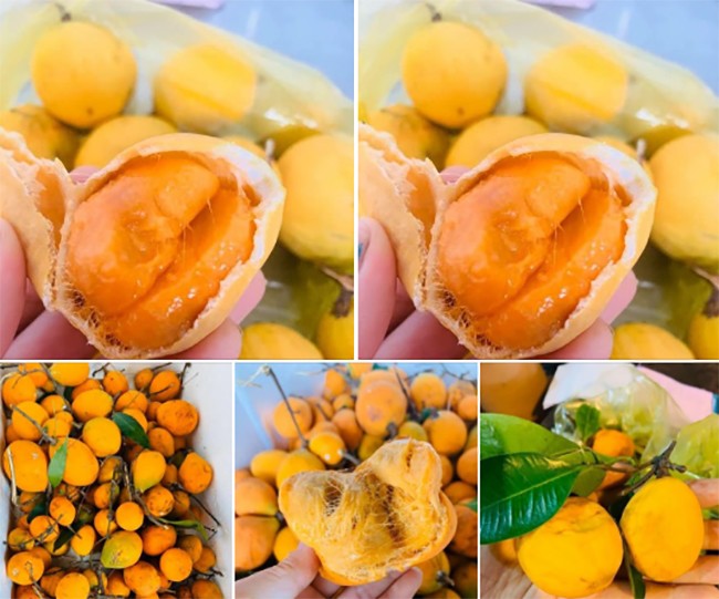 Loại quả không bao giờ hỏng