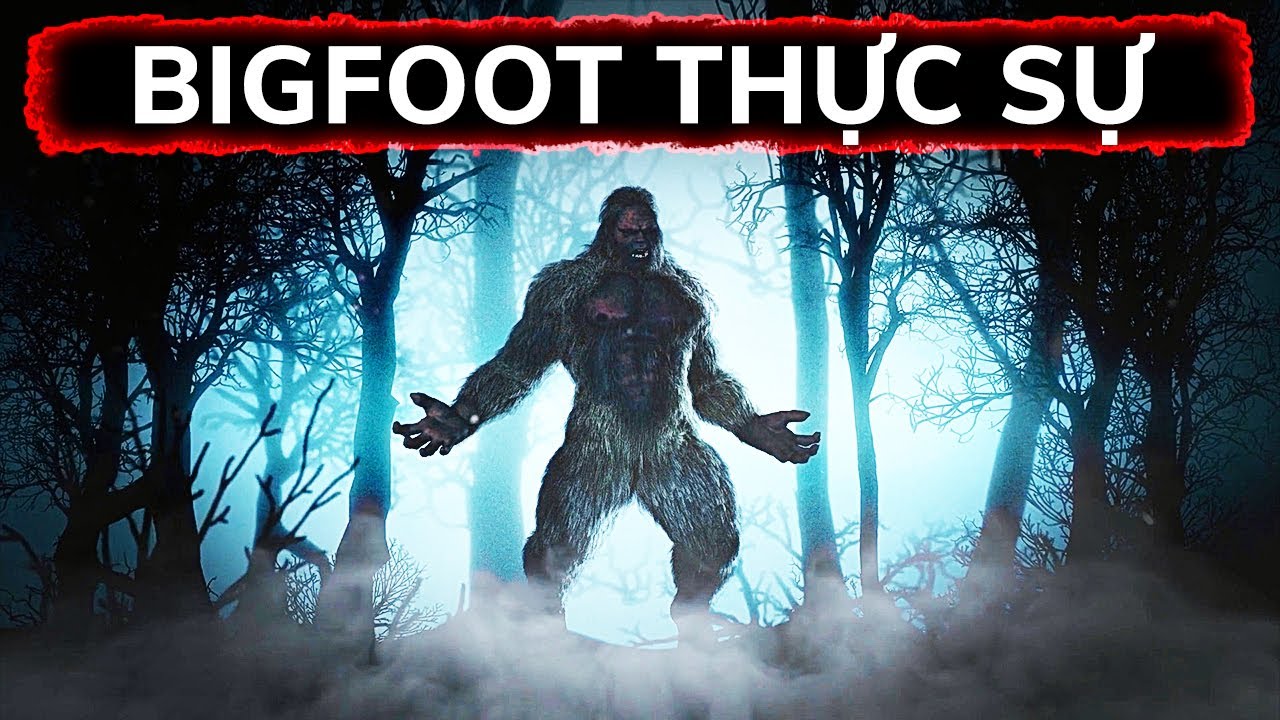 Bigfoot (Sasquatch): Bằng chứng, video và những cuộc chạm trán 7 Video ghi hình Bigfoot
