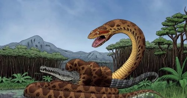 Rừng Amazon b&iacute; ẩn