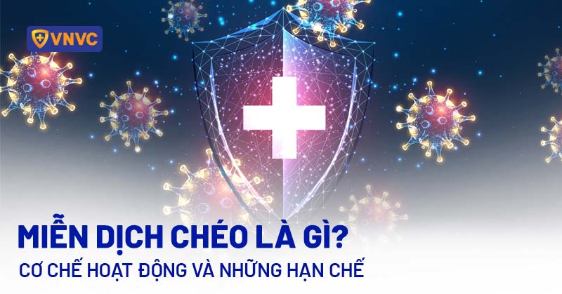 Miễn dịch chéo trong cơ thể