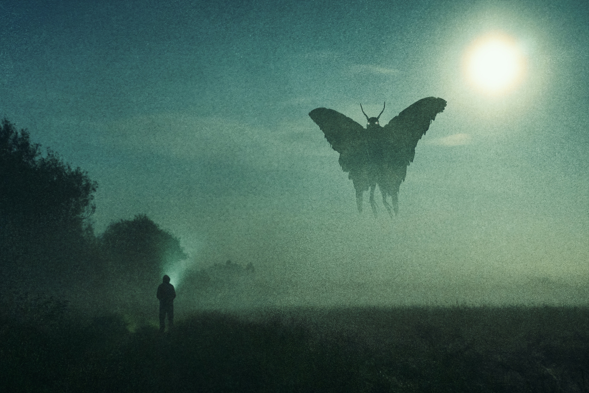 Minh họa Mothman