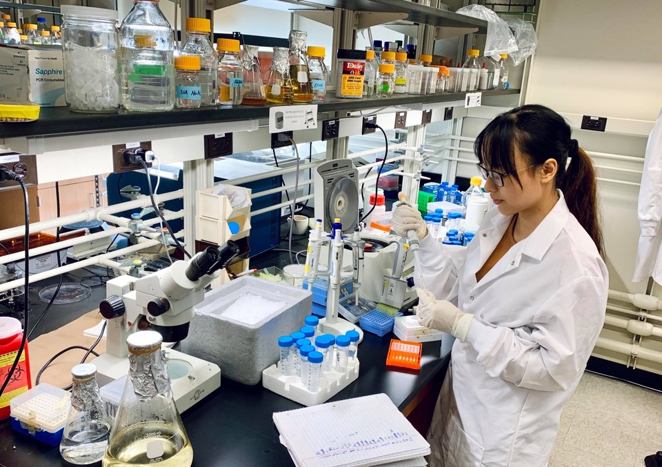 Tại sao các kết quả nghiên cứu ngoại cảm rất khó để lặp lại? 7 Nghiên cứu sinh tham gia thí nghiệm ngoại cảm