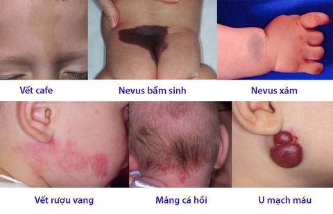 C&acirc;u chuyện lu&acirc;n hồi c&oacute; thật từ nghi&ecirc;n cứu
