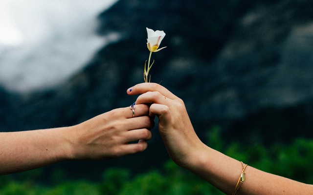 Hoạt động não bộ khi đồng cảm