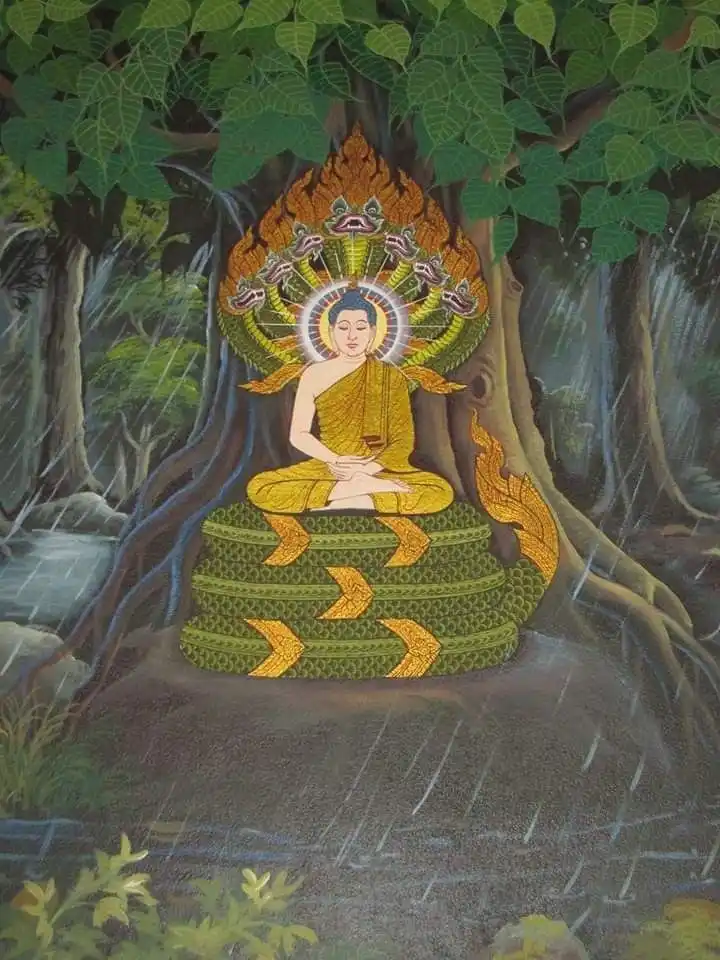Naga che mưa cho Đức Phật