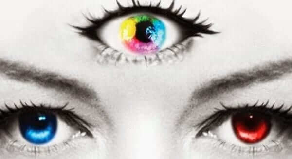 ph&aacute;t triển trực gi&aacute;c