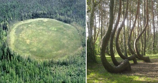 Khu rừng Hoia Baciu (Romania): "Tam giác Bermuda" trên cạn 6 Khu rừng Hoia Baciu nhìn từ trên cao